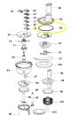 Antispill Ring für Schüssel